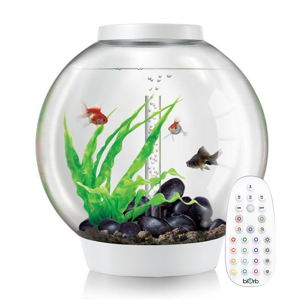 cheap fish tank accessories uk Aquarium Fish Tanks & Aquariums for