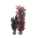 Oase biOrb Seapearls and Kelp Aquarium Decoration