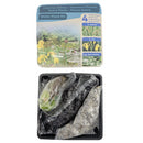 Moerings Complete Waterplant Kit