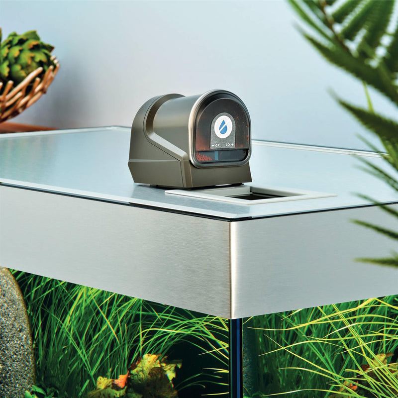 Oase FishGuard Automatic Aquarium Fish Feeder