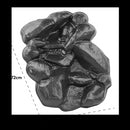 Pisces Pond Watercourses