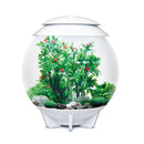 Oase biOrb Aquarium Complete Decor Sets