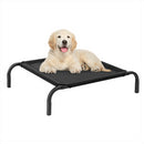 KCT Portable Elevated Pet Dog Beds