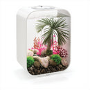 Oase biOrb Palm Tree Seychelles Aquarium Ornament