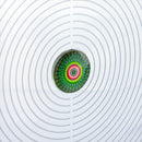 Pisces Reflective Bird Pond Deterrent