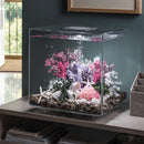 Oase biOrb Medium Barnacle Cluster Ornament