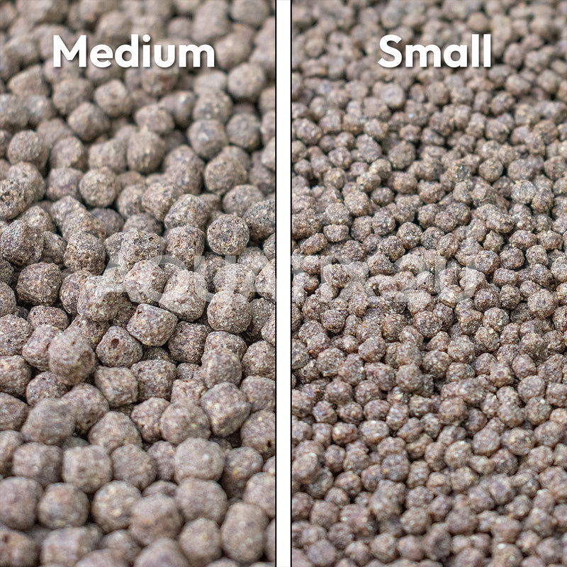 Evolution Aqua Premier Pond Pellet Fish Food