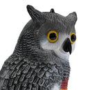 Pisces Decoy Owls Twin Pack