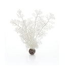 Oase biOrb Sea Fan Aquarium Plants