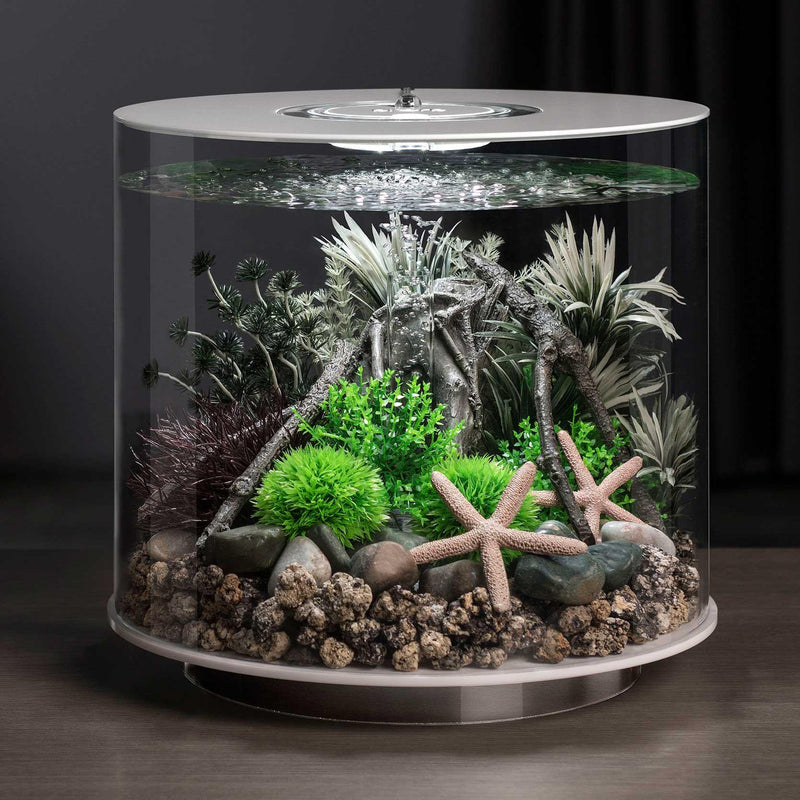 biOrb Amazonas Elements Sculpture