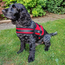 No Pull Padded Dog Harnesses