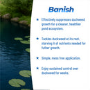 Banish Duckweed Pond Water Treatment