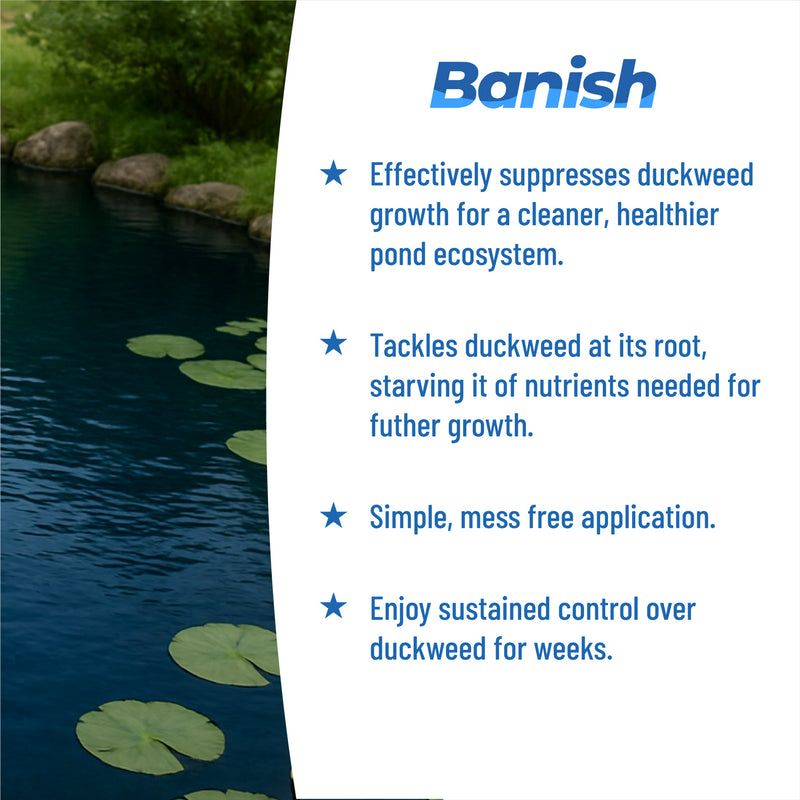 Banish Duckweed Pond Water Treatment