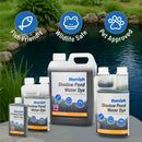 Banish Pond Water Dyes