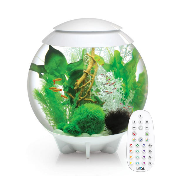 biOrb Halo 60L White Aquarium with MCR LED Lighting