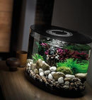 biOrb Loop 15L Black MCR Aquariums
