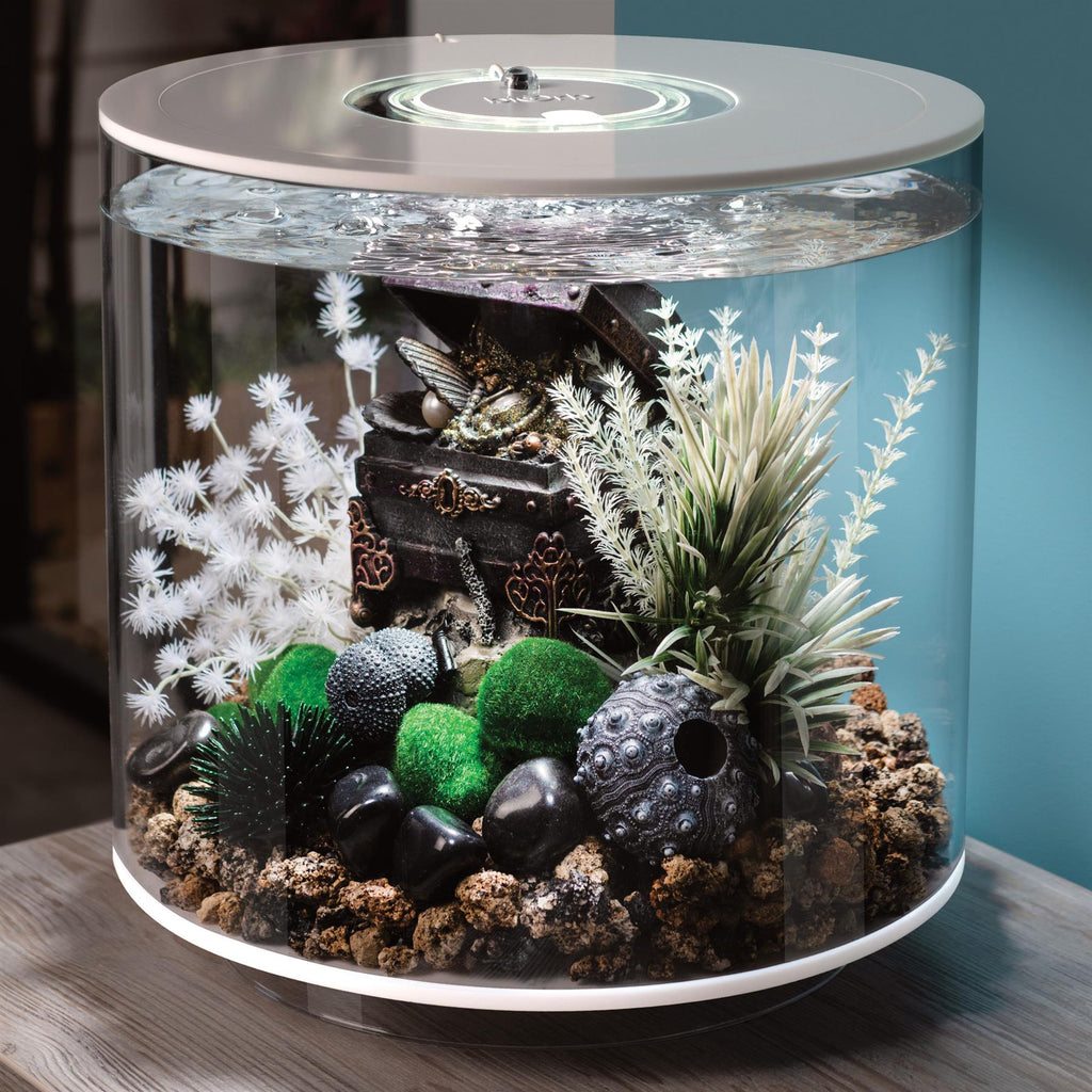 biorb fish tank accessories uk Summer Dcor Set, 15L The biOrb Easy Dcor Kit contains some aquarium decorations to bring your 8 gallon biOrb to life biorb fish tank accessories uk