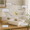 KCT Lima Small Exotic Bird Travel Cage - White