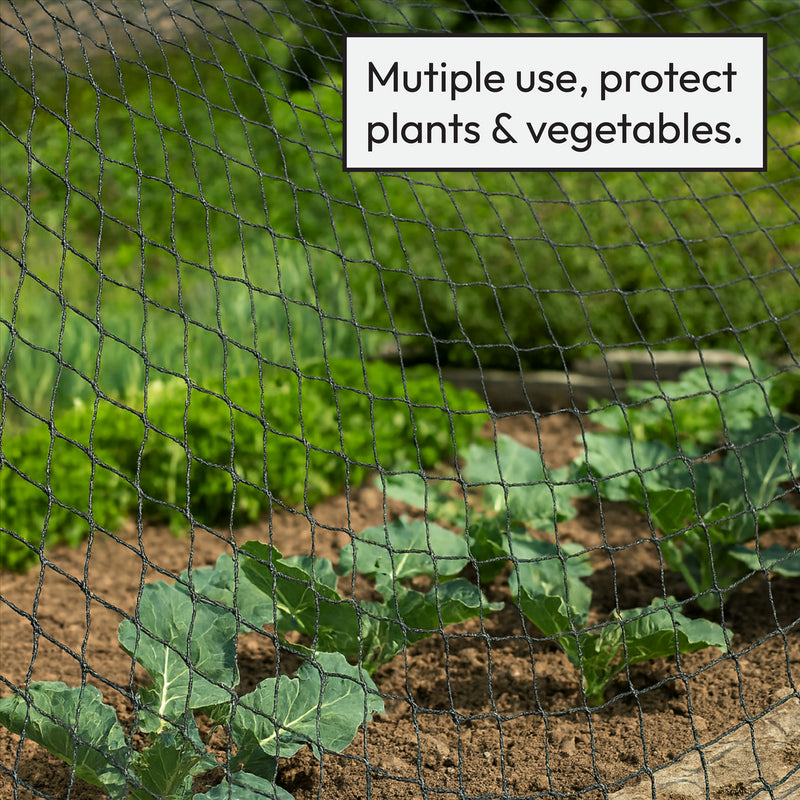 Pisces Pond Protection Netting with Pegs