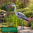 Pisces Twin Pack Pond Decoy Heron