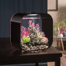BiOrb Black Life Aquarium 30L - MCR Light