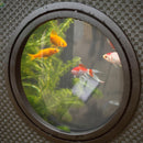 Blagdon Affinity Pond Grand Corner Pool 680L (Inpond 5-in-1 3000 UVC Included)