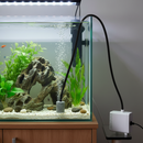Airline Tubing - Black & Clear Aquarium Air Line Tube