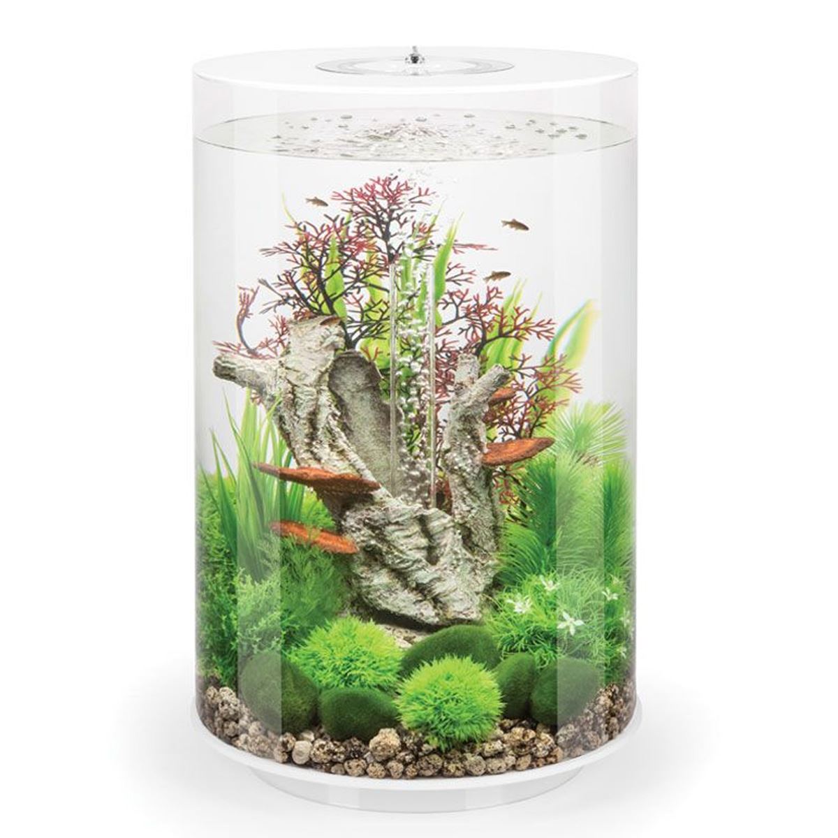 biOrb Tube 30L White Aquarium with MCR LED Lighting