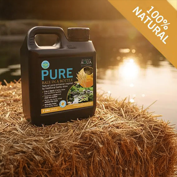 Evolution Aqua Pure Bale in a Bottle Pond Water Treatment
