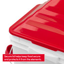 10KG/10L Raised Chicken Feeder & Waterer Set