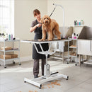KCT Standard Hydraulic Adjustable Pet Grooming Table