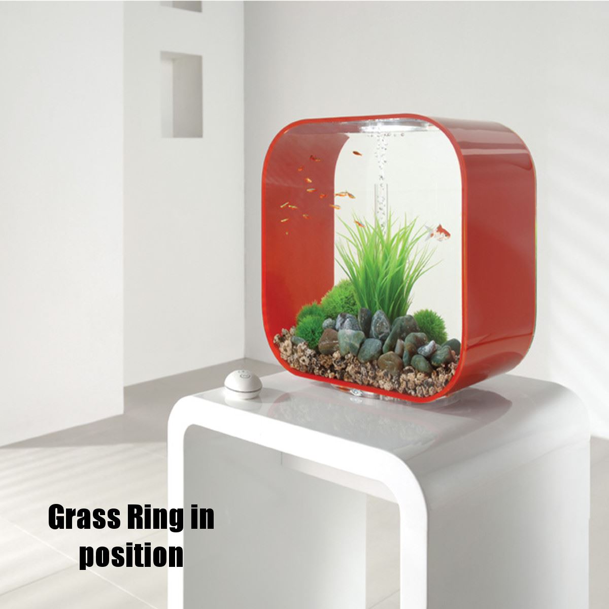 biorb fish tank accessories uk Stone Garden Easy Decor Kit, 30 Liter paired with quality materials Oase biOrb Grass Ring Aquarium