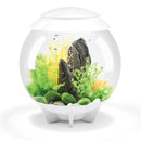 biOrb Halo 30L Aquarium White with LED Lighting