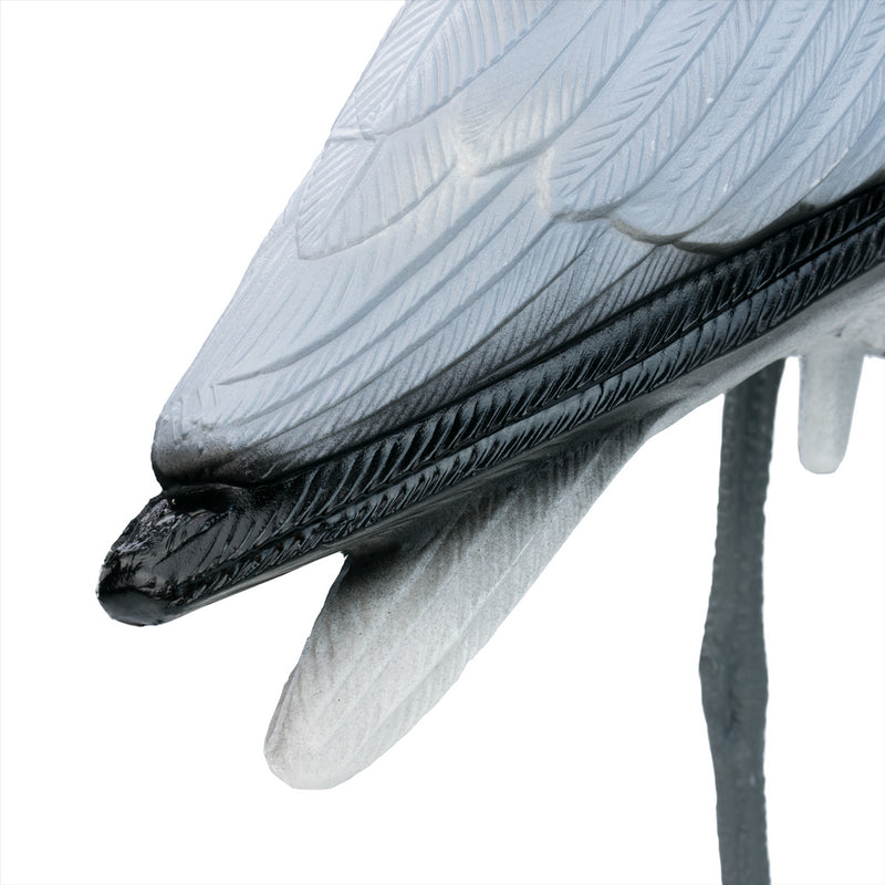 Pisces Twin Pack Pond Decoy Heron