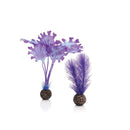 biOrb Kelp Plant Set Aquarium Decorations