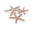 biOrb Starfish Set Aquarium Decorations