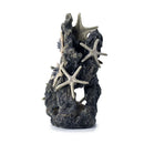 Oase biOrb Ornament Medium Starfish On Rock