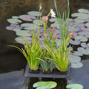 Velda Floating Plant Oasis