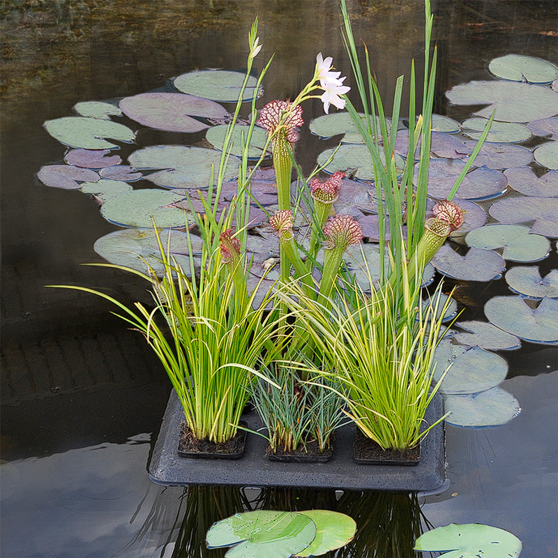 Velda Floating Plant Oasis Water Surface Planting Basket Island