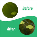 Banish BioActive Barley Straw Extract Pond Water Treatment