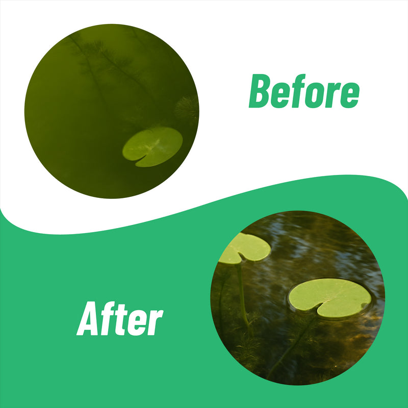 Banish BioActive Barley Straw Extract Pond Water Treatment