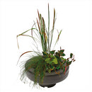 Superfish Round Floating Pond Plant Basket