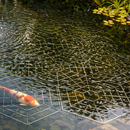 Pisces Floating Pond Protection Kit - 20 Pieces