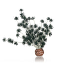 biOrb Bonsai Balls Aquarium Decorations