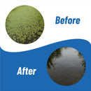 Banish Duckweed Pond Water Treatment