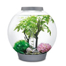 Oase biOrb Aquarium Complete Decor Sets
