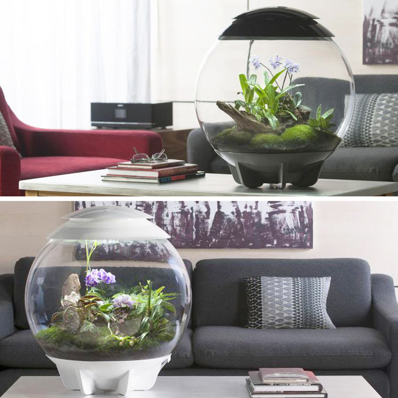 Oase biOrb Terrarium Bogwood