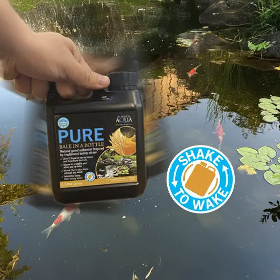 Evolution Aqua Pure Bale in a Bottle Pond Water Treatment