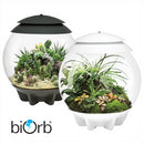 biOrb AIR 30L Acrylic Terrariums