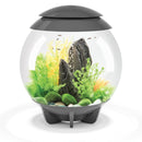 biOrb Halo 30L Grey Aquarium with MCR LED Lighting